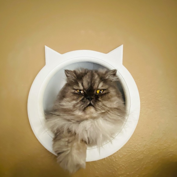 Meet your Posher, Patti - Picture 1 of 5